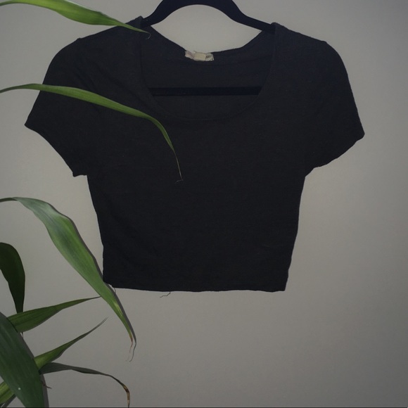 Universal Crop Top - Picture 1 of 1